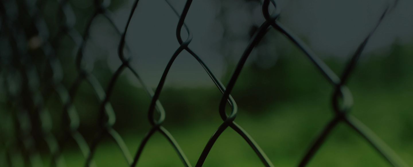 chain link fence colored black